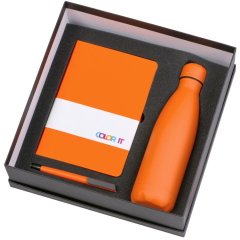 Подарочный набор «COLOR IT» c блокнотом, ручкой и термобутылкой